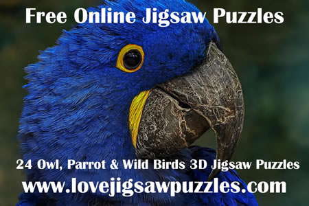 3D Owl, Parrot and Wild Bird Jigsaw Puzzles