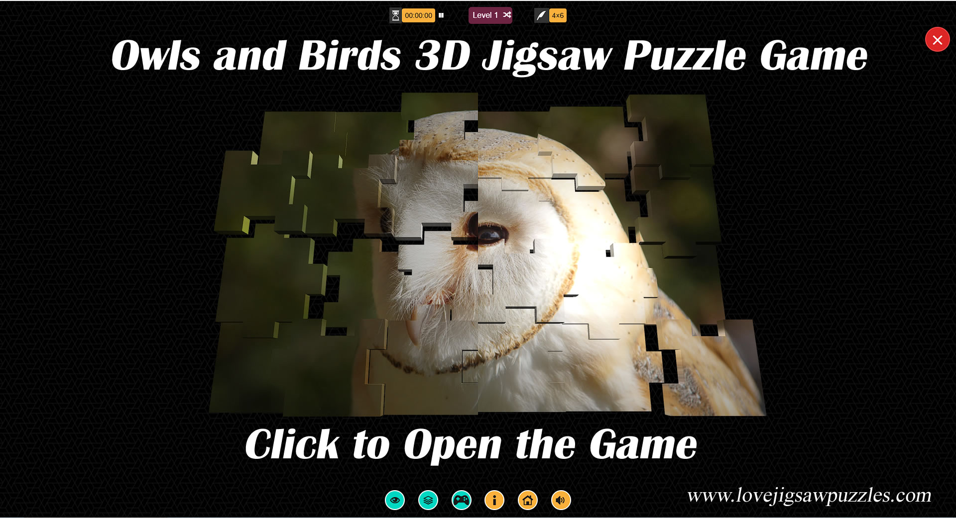 3D Jigsaw Puzzle Game - owls and bird pictures game