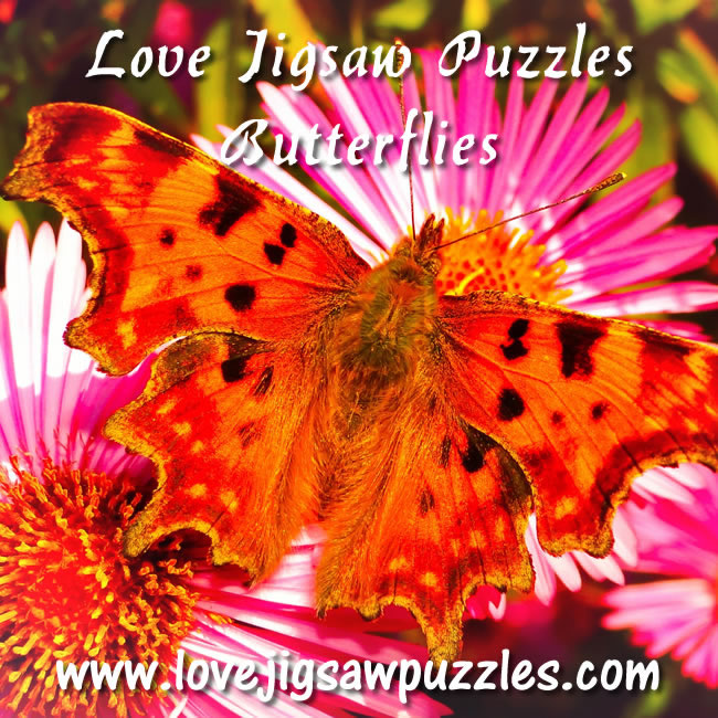 butterfly jigsaw puzzles - game with 6 jigsaws