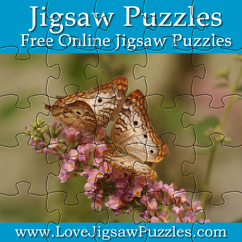 Butterfly Jigsaw Puzzle Picture