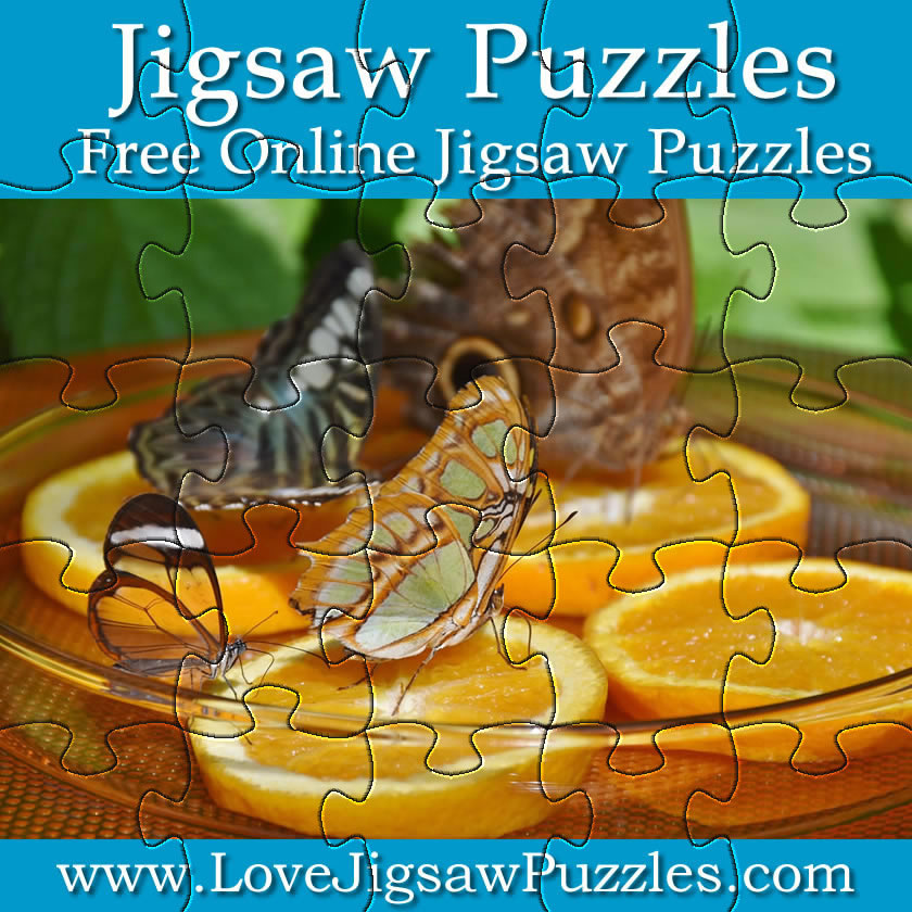 Butterfly jigsaw puzzle game