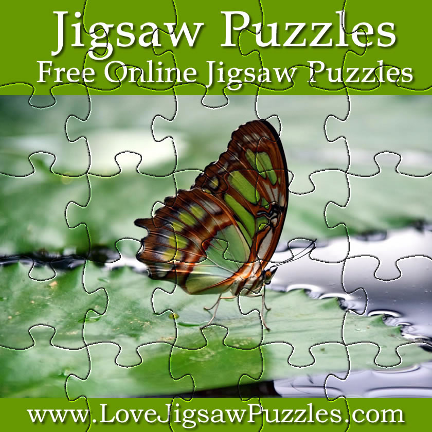 Puzzle Games Free Jigsaw Puzzle of a Butterfly