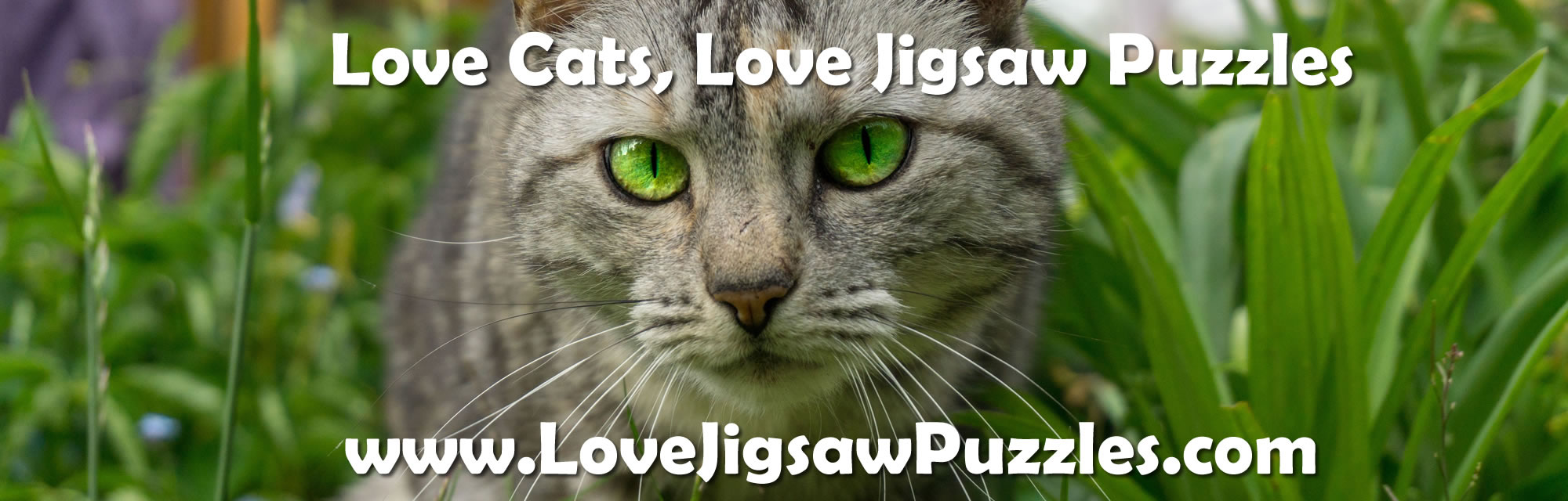 Free Jigsaw Puzzles