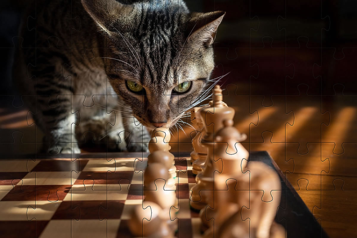 Cat Playing Chess jigsaw