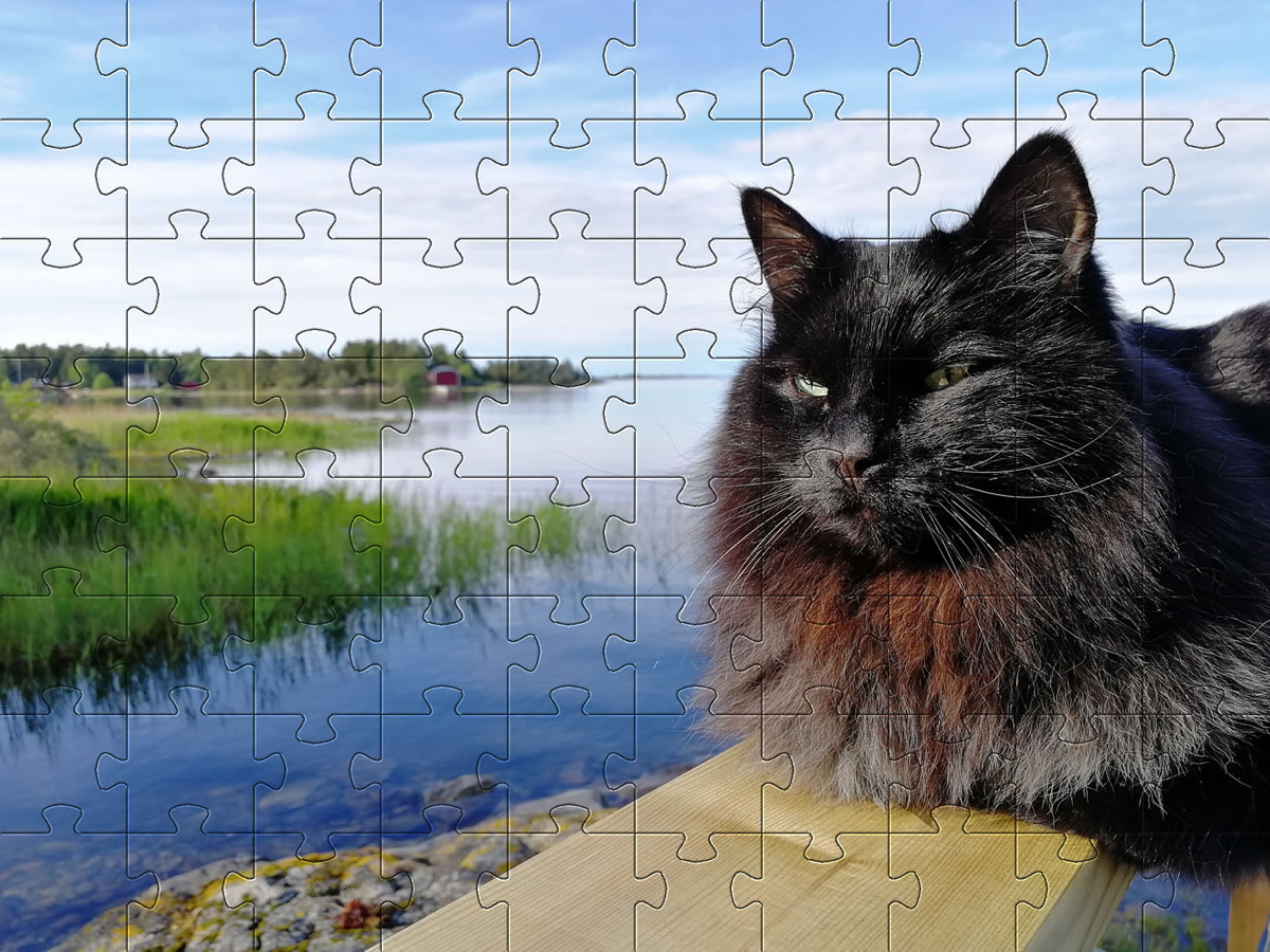 Cute Adorable Cat Jigsaw