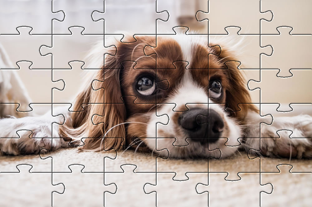 Dog Puzzle Printable