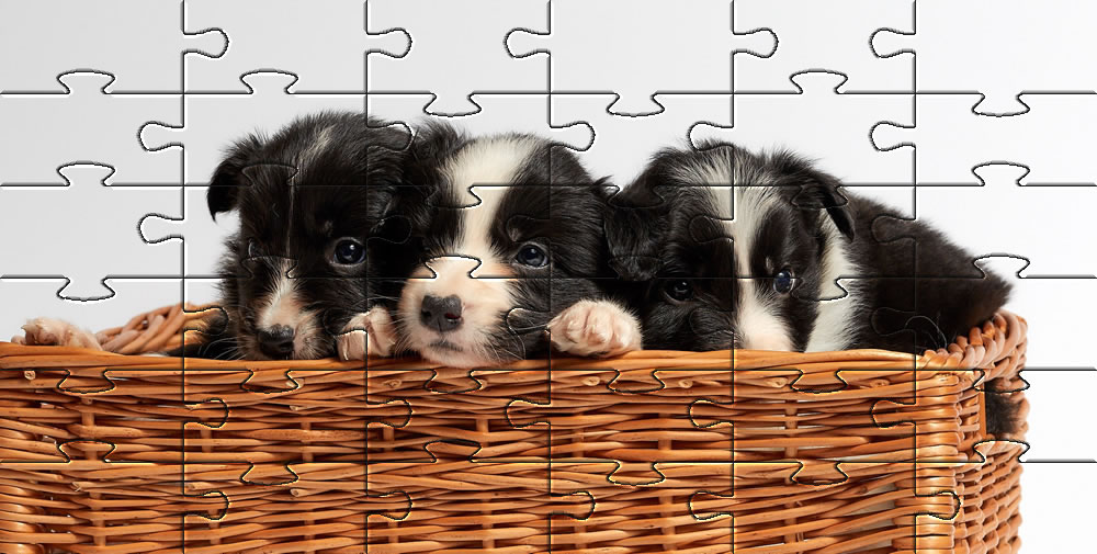Puppies - Puppy Jigsaw Game