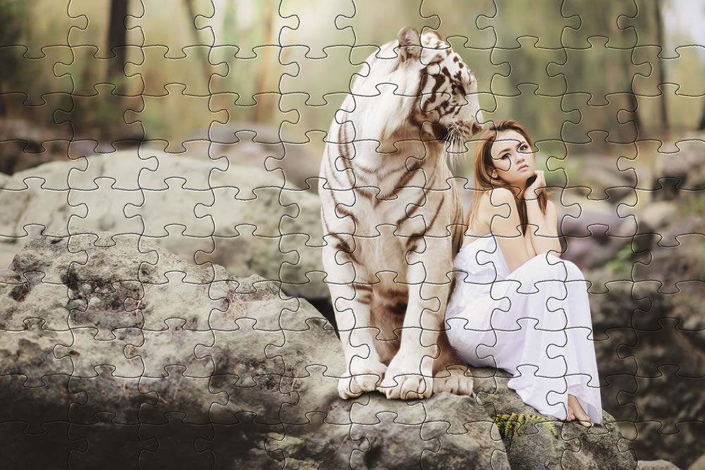 Fantasy image jigsaw picture