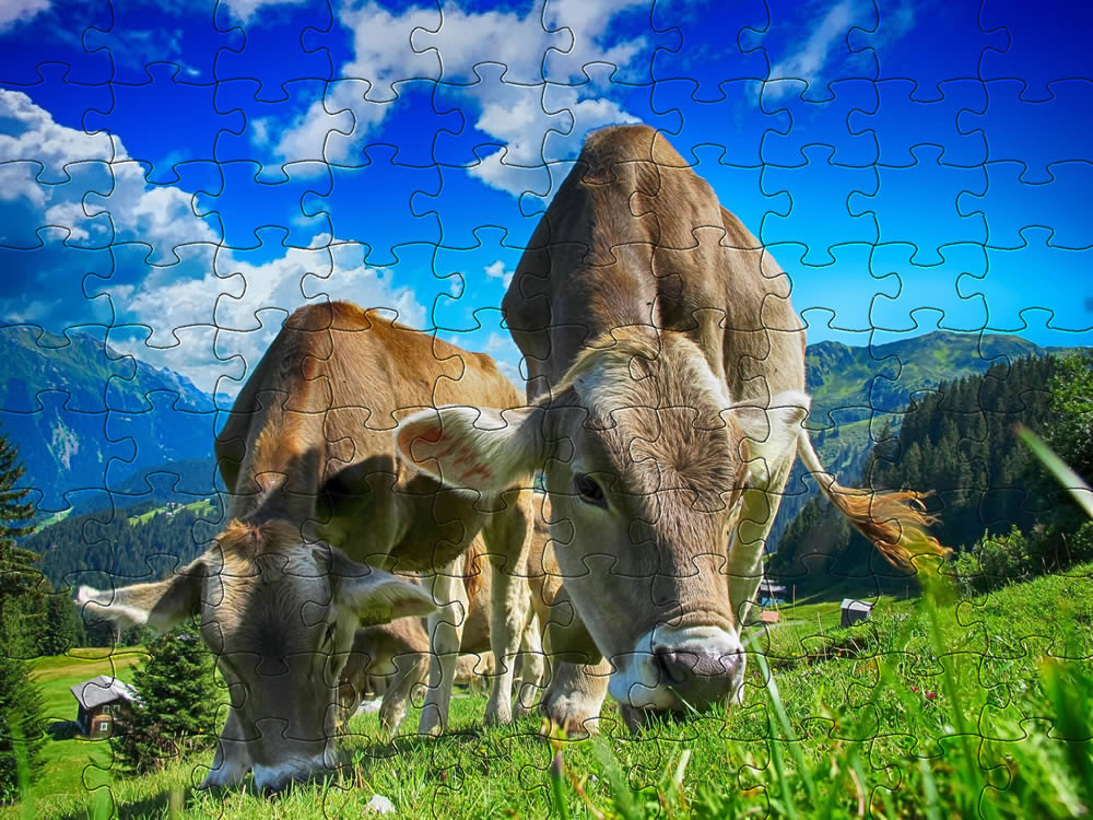 Farm Jigsaw Puzzle