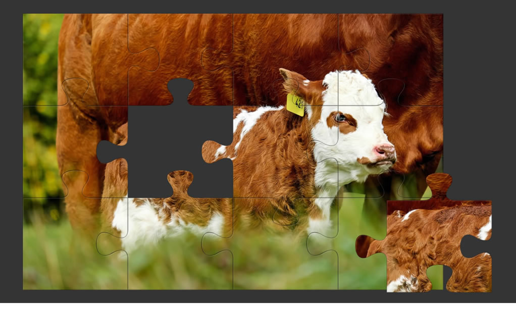 Jigsaw puzzle- farm jigsaw