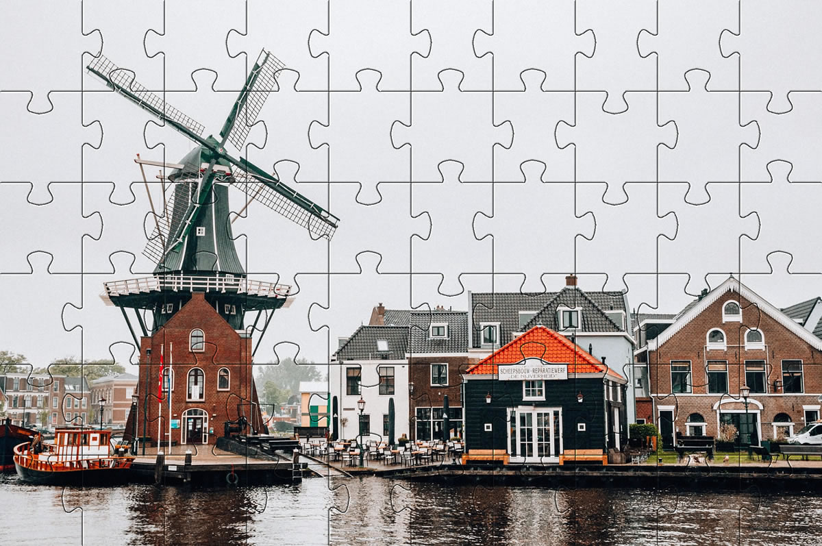 Holland Windmill on flowers jigsaw