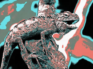Iguana art picture 3