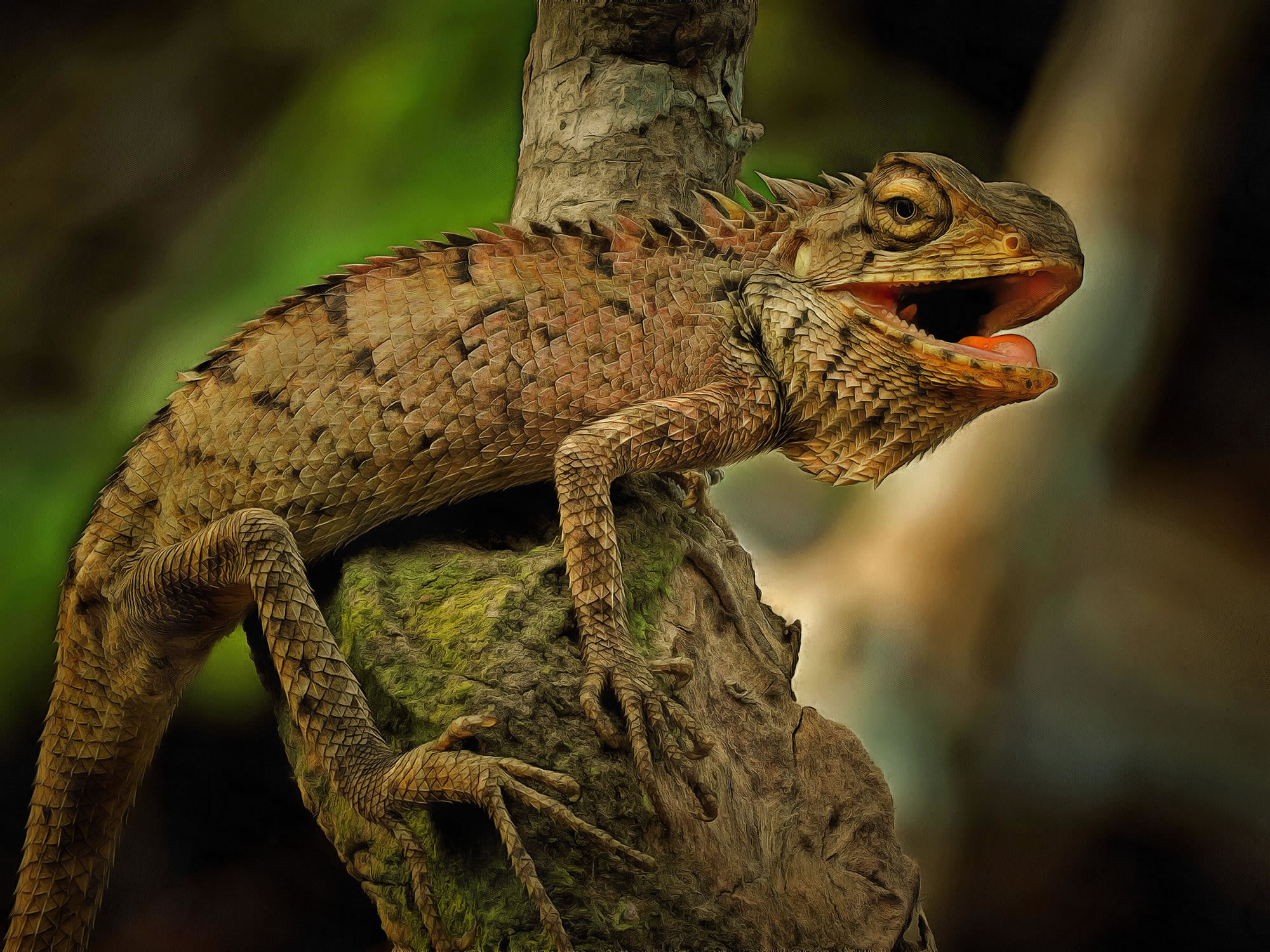 Free Print image - Artistic Iguana Poster