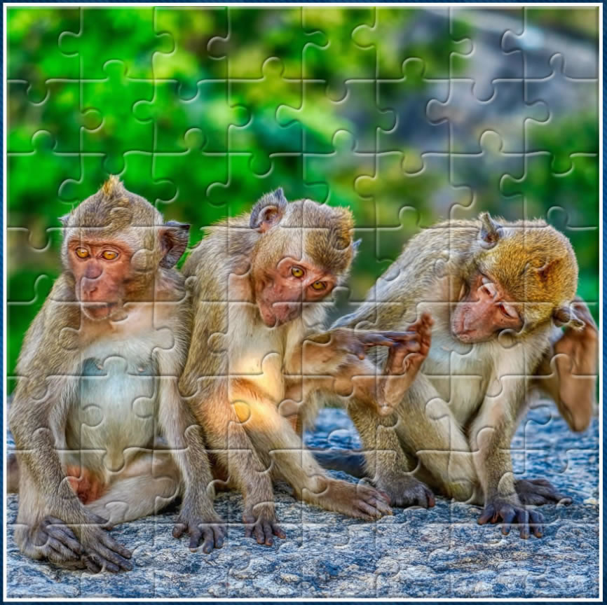 Tiger jigsaw