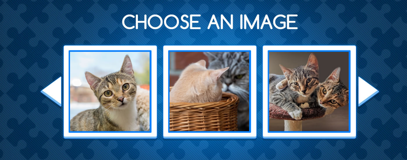 Cats jigsaw puzzles