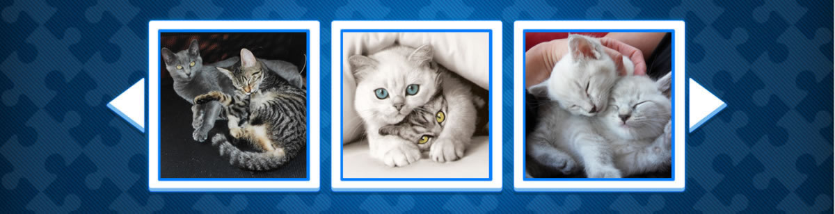 15 cat and kitten jigsaw puzzles - cat pictures