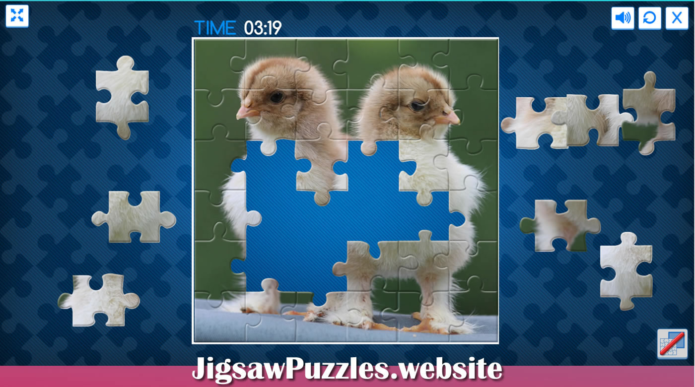 Hens and Chickens jigsaw puzzle game