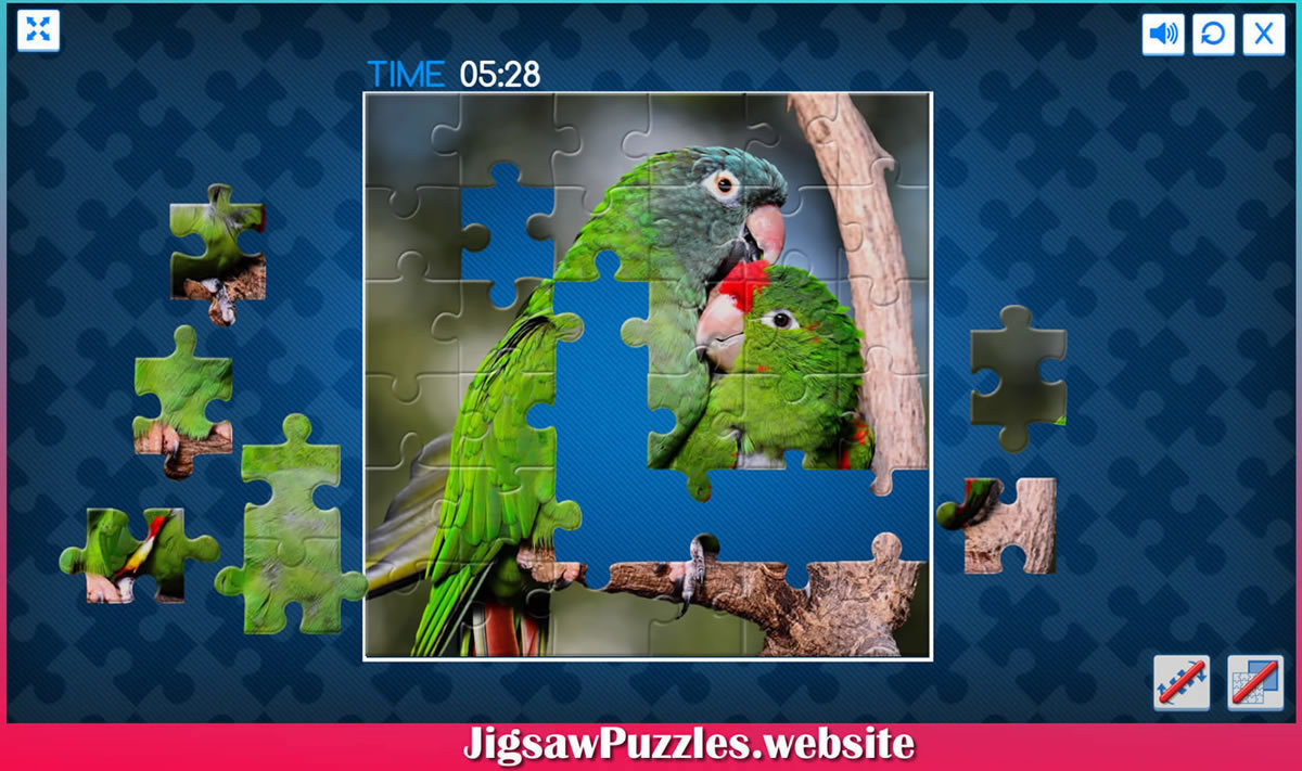 Jigsaw