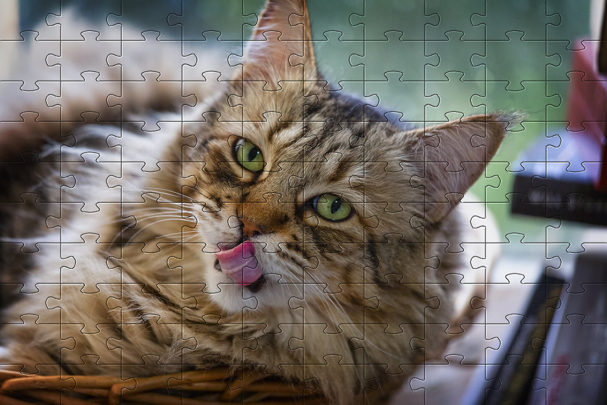 Jigsaw puzzle picture - cat