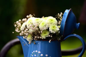 Flower arrangement