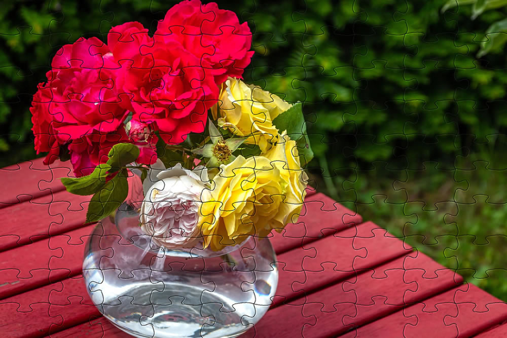 Roses jigsaw picture