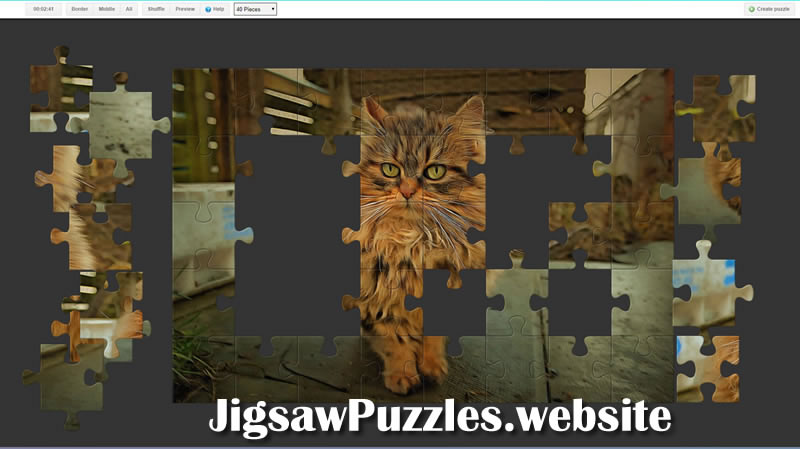 Jigsaw Puzzle 4