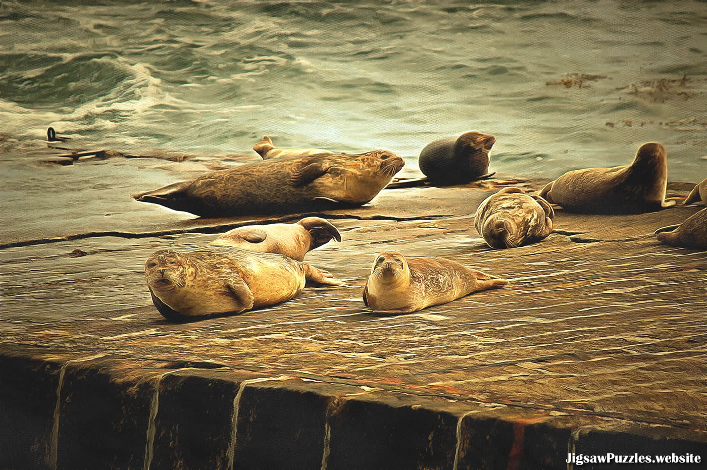 Seals lying about on a pier picture