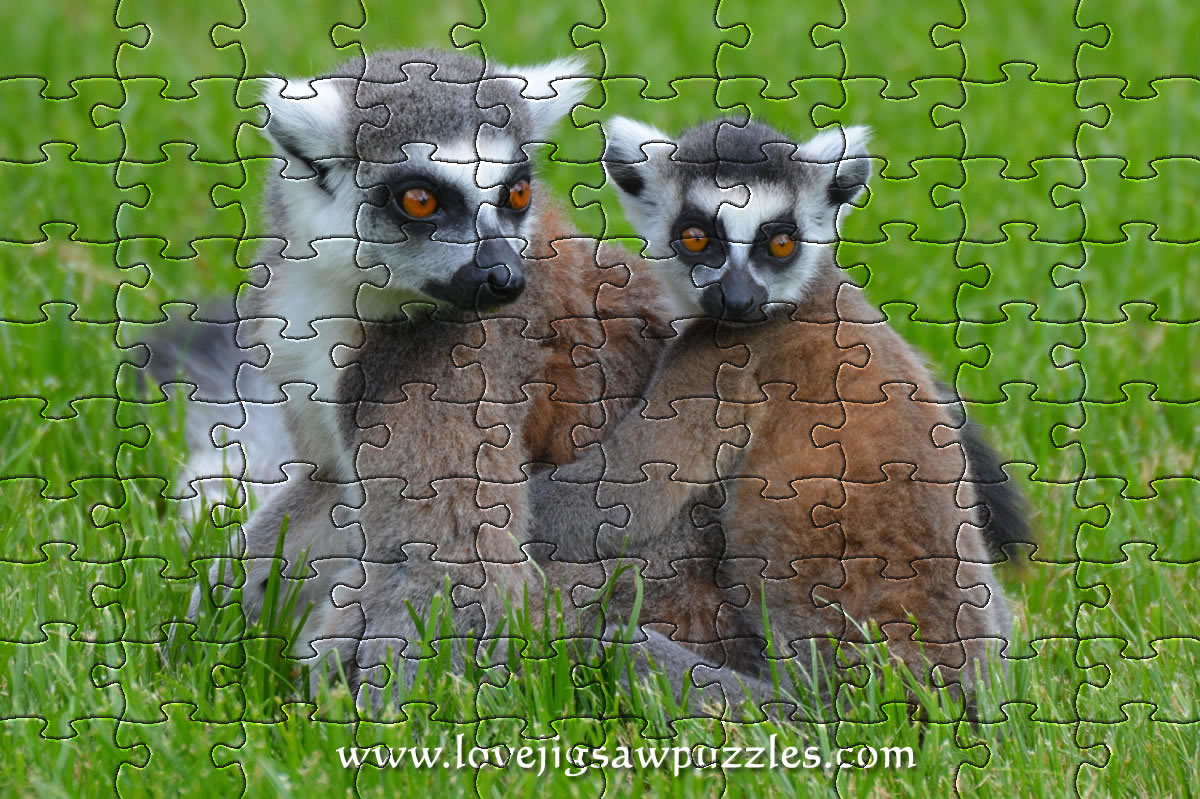 Jigsaw puzzle