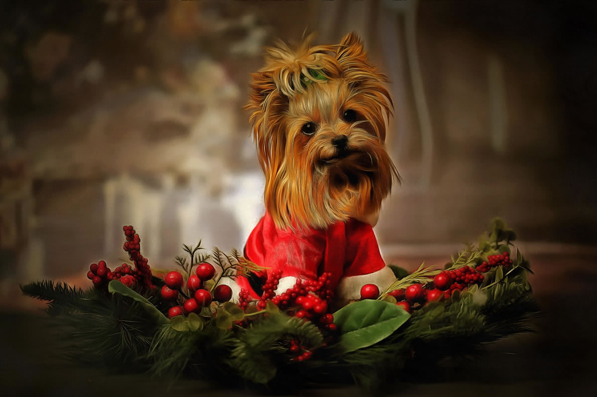 Cute dog artwork picture