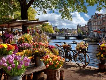 Amsterdam beautiful canals and Flower Market - picture 4