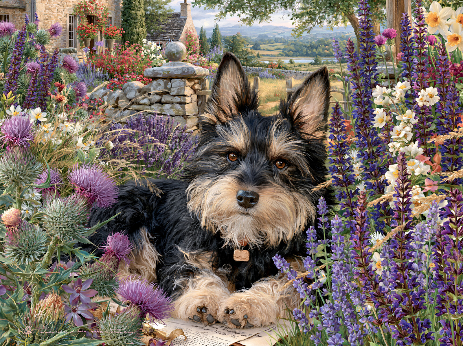 A terrier lying among purple thistles and lavender in a cottage garden above a green valley