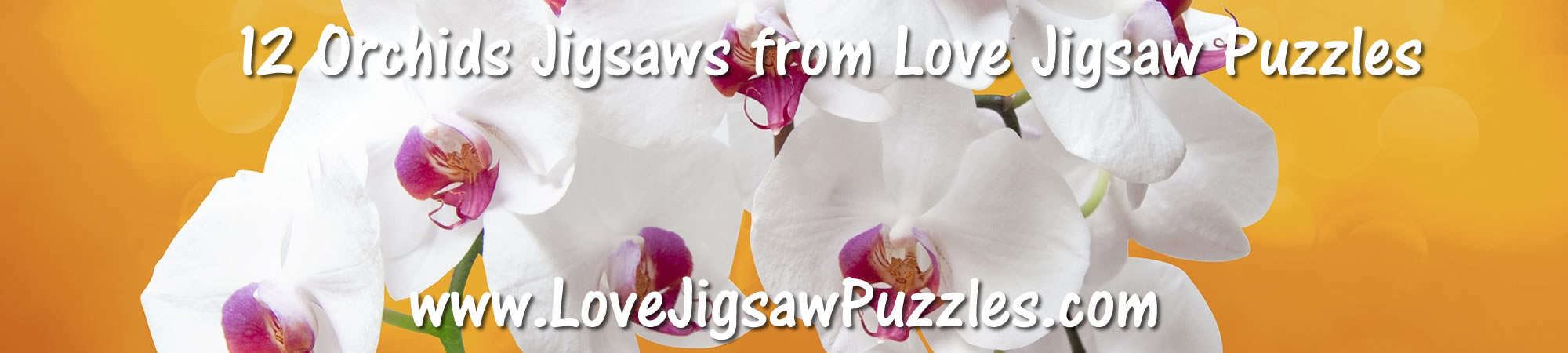 Free Jigsaw Puzzles of orchids in flower