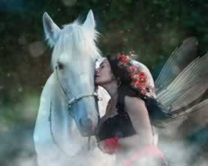 Horse with Fairy Princess Jigsaw