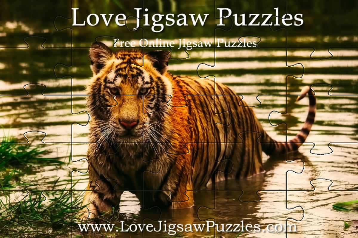 Jigsaw puzzles