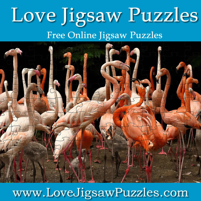 jigsaws