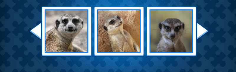 Meerkat jigsaw puzzles