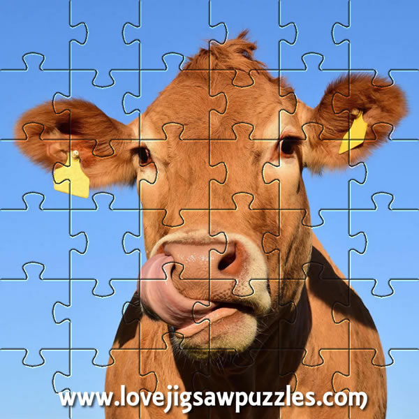Jigsaw Puzzles - farm animal jigsaws