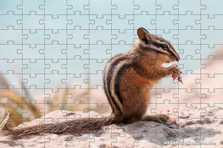 Chipmunk jigsaw