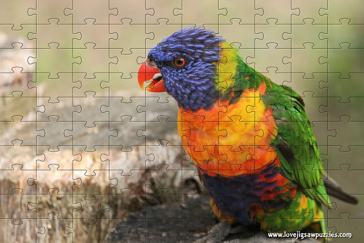 Free parrot jigsaw