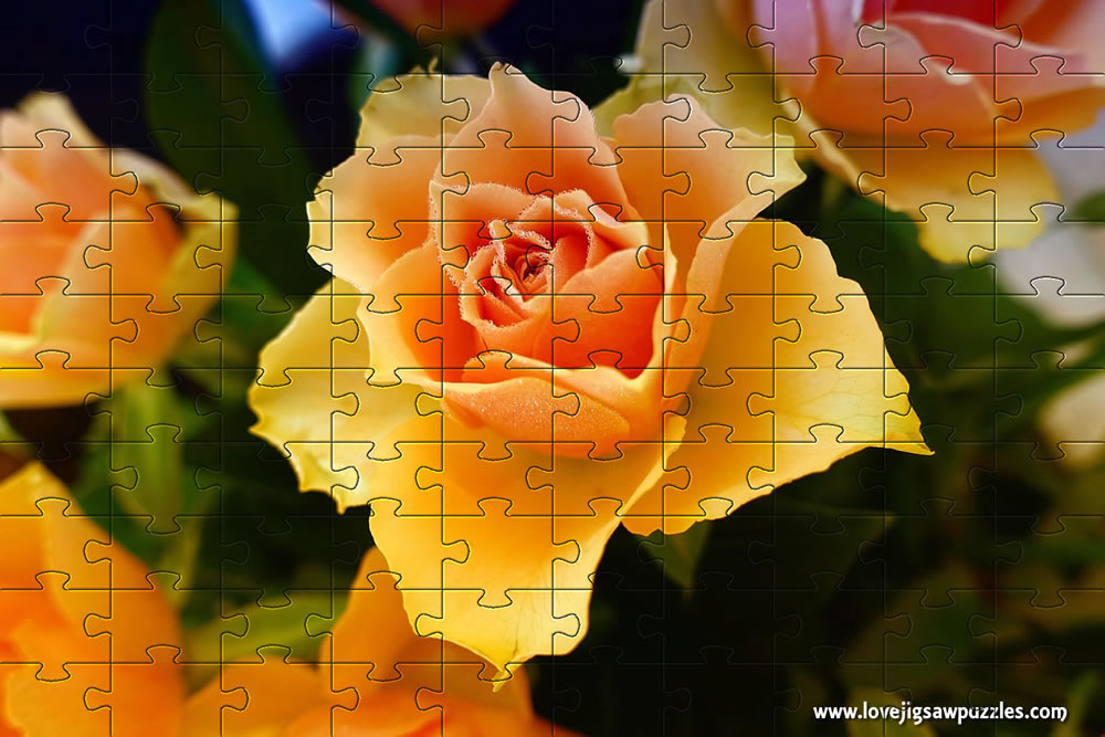 Rose Jigsaw