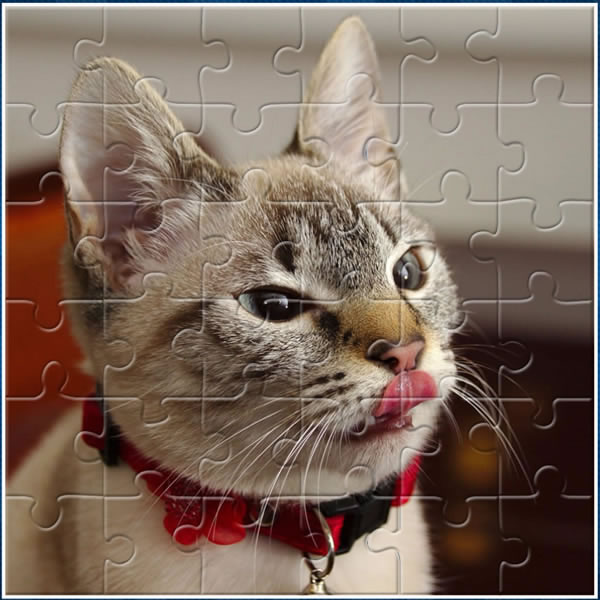 jigsaw puzzles game