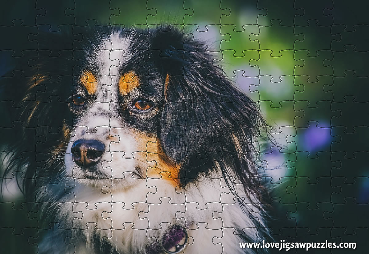 Free dog picture jigsaw puzzle for printing and making your own jigsaw