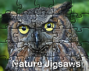 Nature Jigsaw Puzzle Games