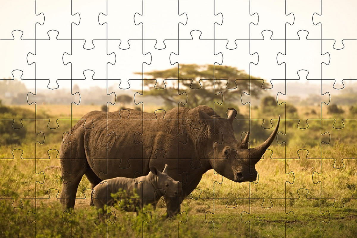 Rhino jigsaw