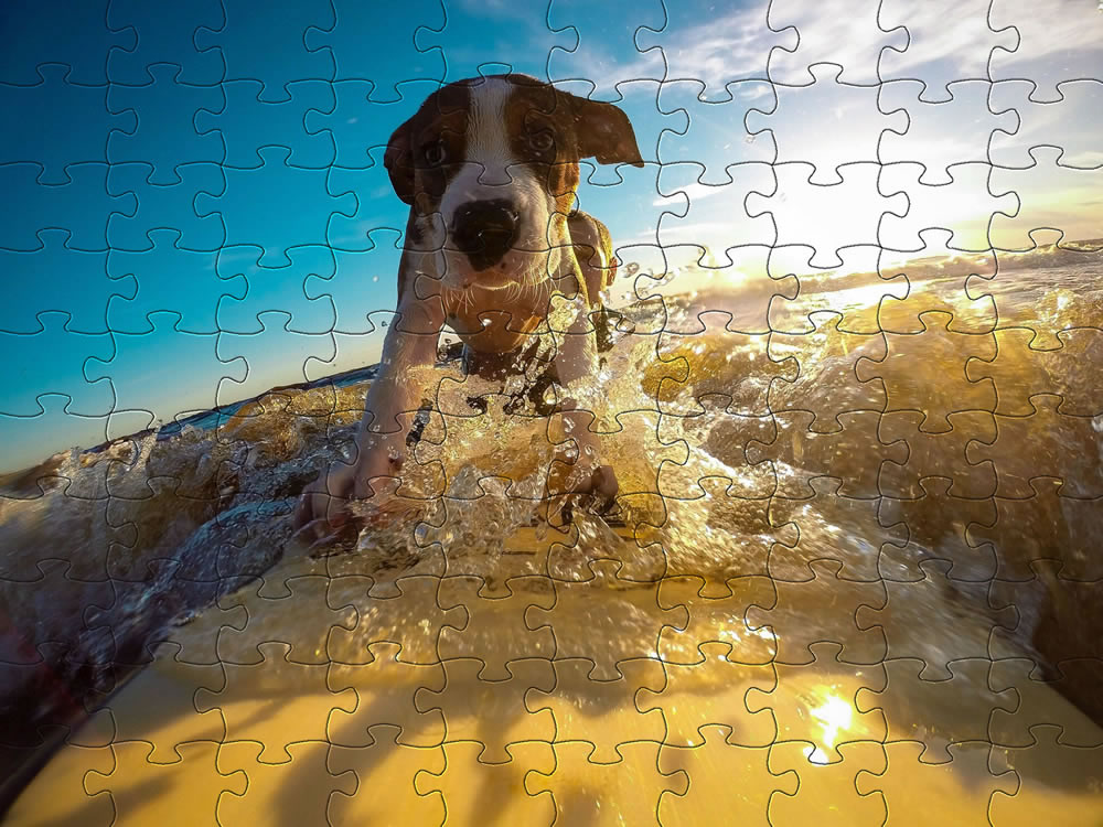 Surfing dog jigsaw