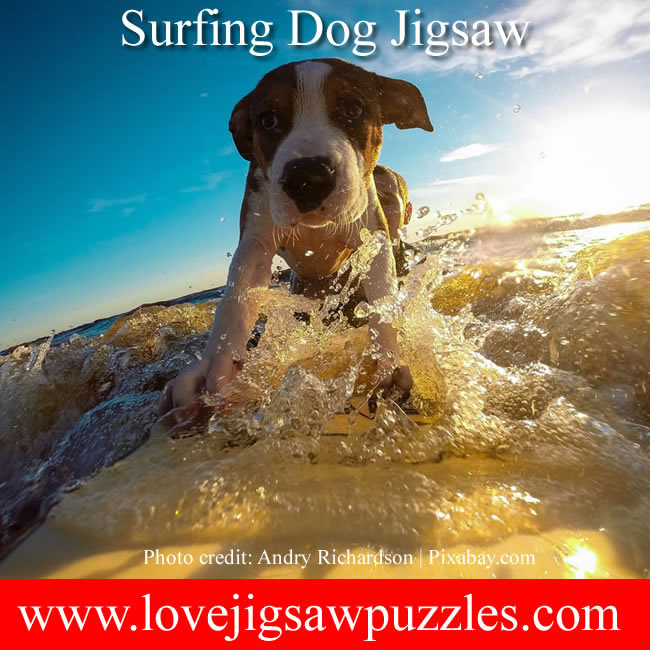Surfing Dog Jigsaw