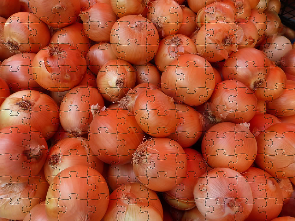 Vegetable jigsaw - onions