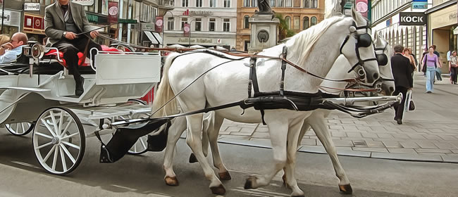 Vienna Street Horse Carriage